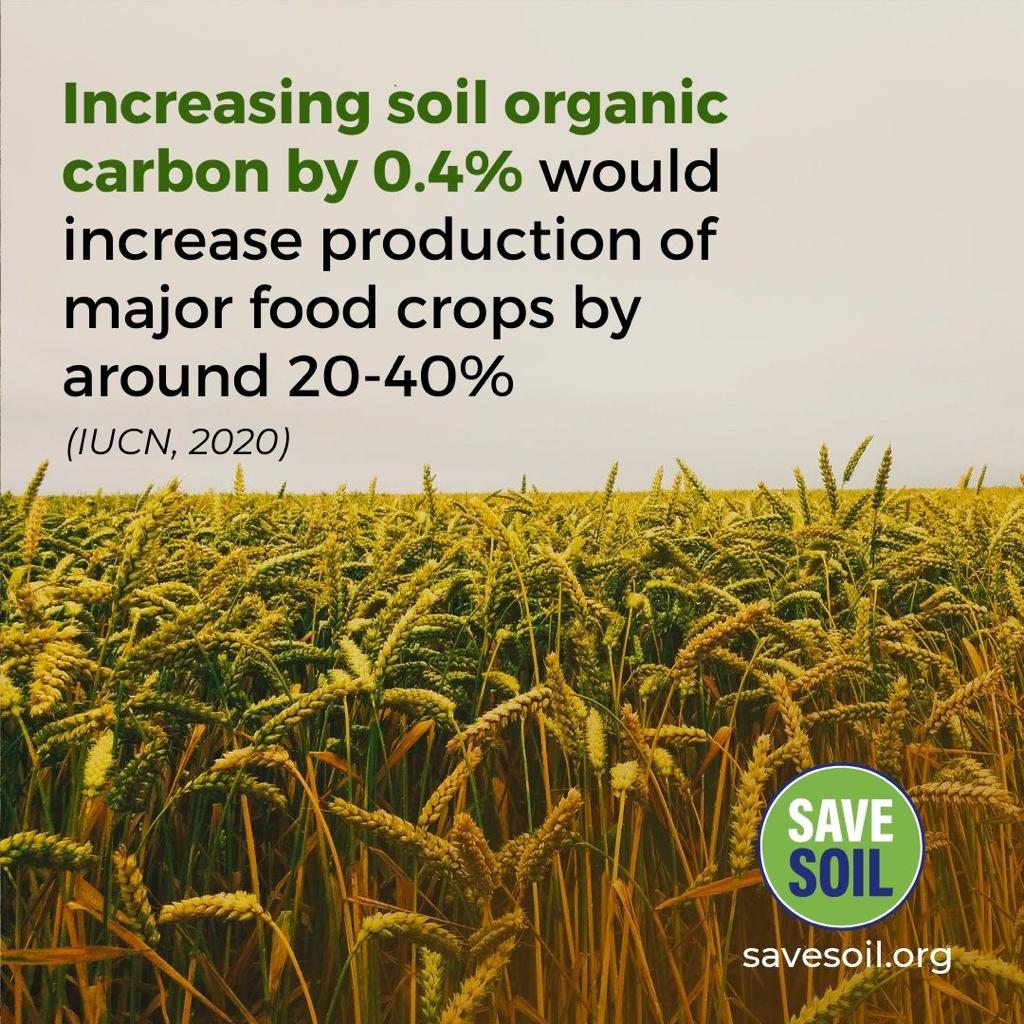 LalithaParame13's tweet photo. Whole world  should  join together to #savesoil,#SaveSoilMovement,#SaveTheWilds . This is a biggest #savesoil movement.unbelievable to  change the policies to farmers friendly  policies #soilfriendly policies so that we could  bring 3 to 6 percent  of organic content in the soil. https://t.co/hEL2c8TPHQ