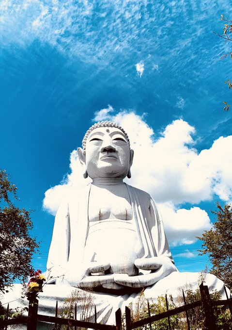 江南市に大仏あった 