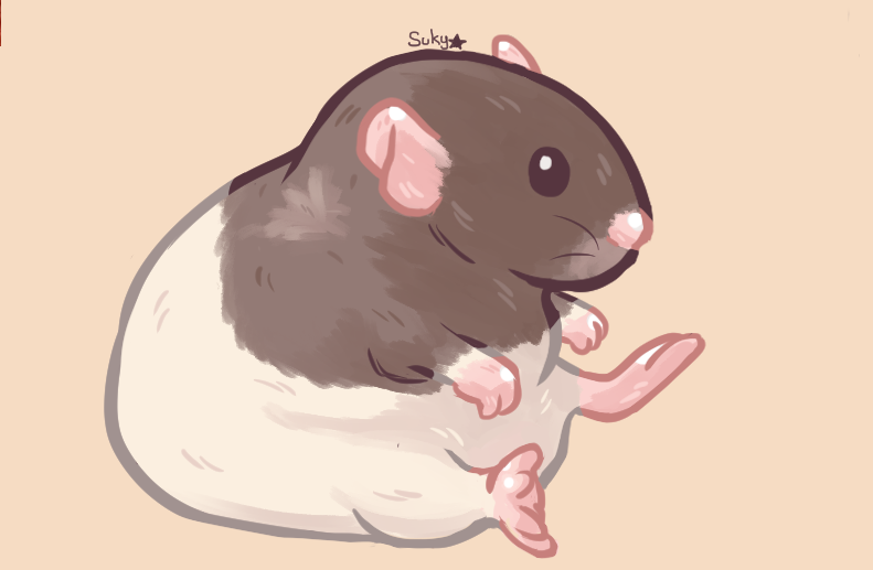 Sukiyama's tweet photo. Just a rat waiting for something to happen...
(this picture is one of may fave)
#ratmeme #rat #cuteart https://t.co/ecrQE0qUko
