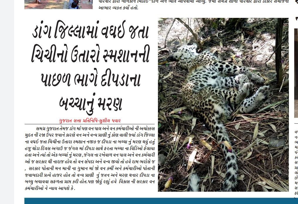 NavinRathva8598's tweet photo. આ ડબલ એન્જિન વાળી સરકાર પોતાની મનમાની મા ગળાડુબ છે જેના કારણે નિર્દોષ વન્ય પ્રાણીઓના જીવ લઈ રહી છે...પણ અમે અમારો હક લઈ ને જ જમ્પી શુ...🦁🦁 https://t.co/sOJPEgtL0U