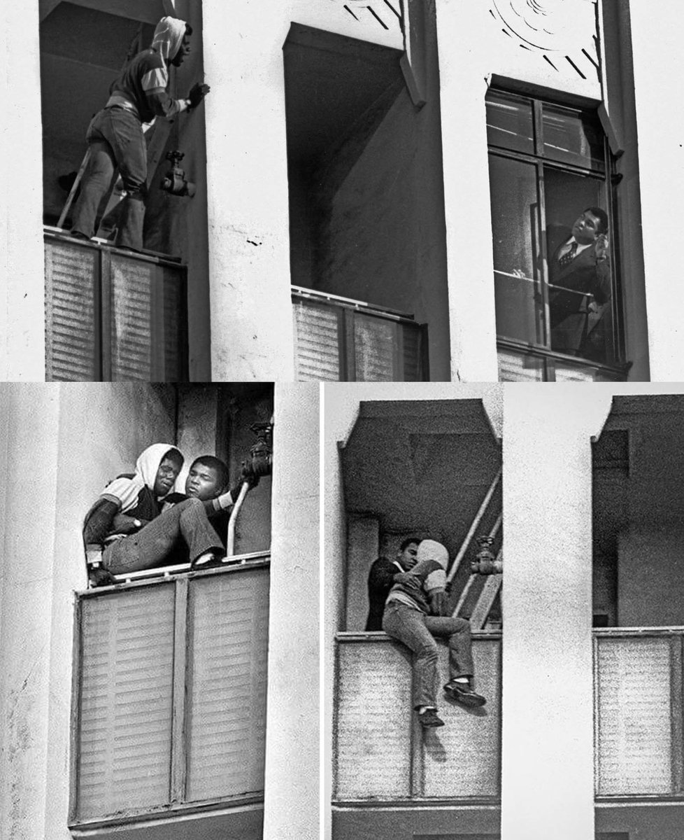 History Photographed tweet media