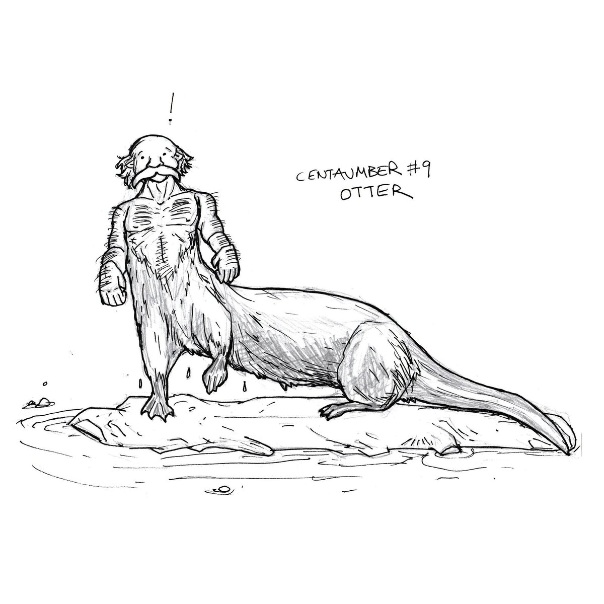 byduncanshields's tweet photo. My September drawing challenge this year is Centaumber which will be the 'centaurification' of non-horse animals. This is #9: Otter. #centaumber #centaur #inktember #hybrid #animal #otter https://t.co/oxek5591To