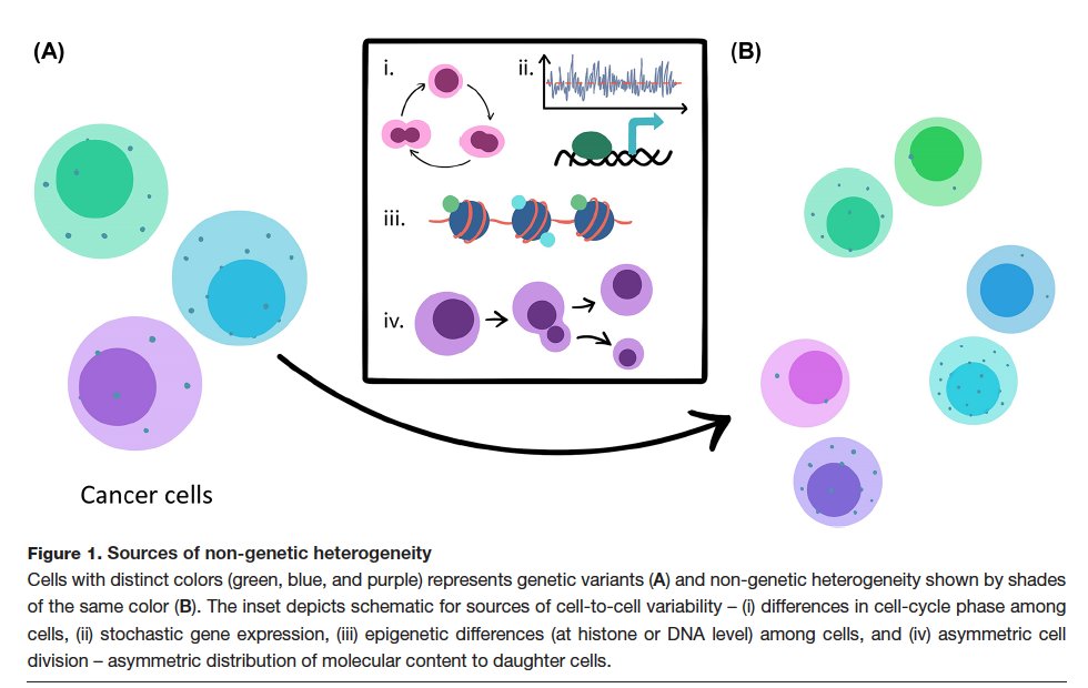 Mohit Kumar Jolly tweet media