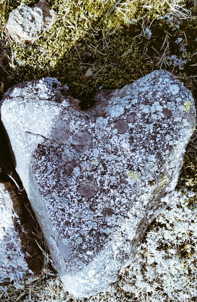 TuijaHauvala's tweet photo. Kansainvälinen #itsemurhienehkäisypäivä 10.9. Tärkeä kysymys tänäänkin #mitäkuuluu?
Apua ja tukea: https://t.co/zVLrWTtTZp
#kysy #kuuntele #kerro #ohjaa #kohtaaminen #mieli #välittäminen @kriisikeskusjkl https://t.co/r5V1jlcBxo