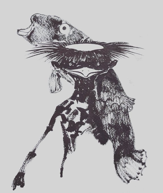 魚… 