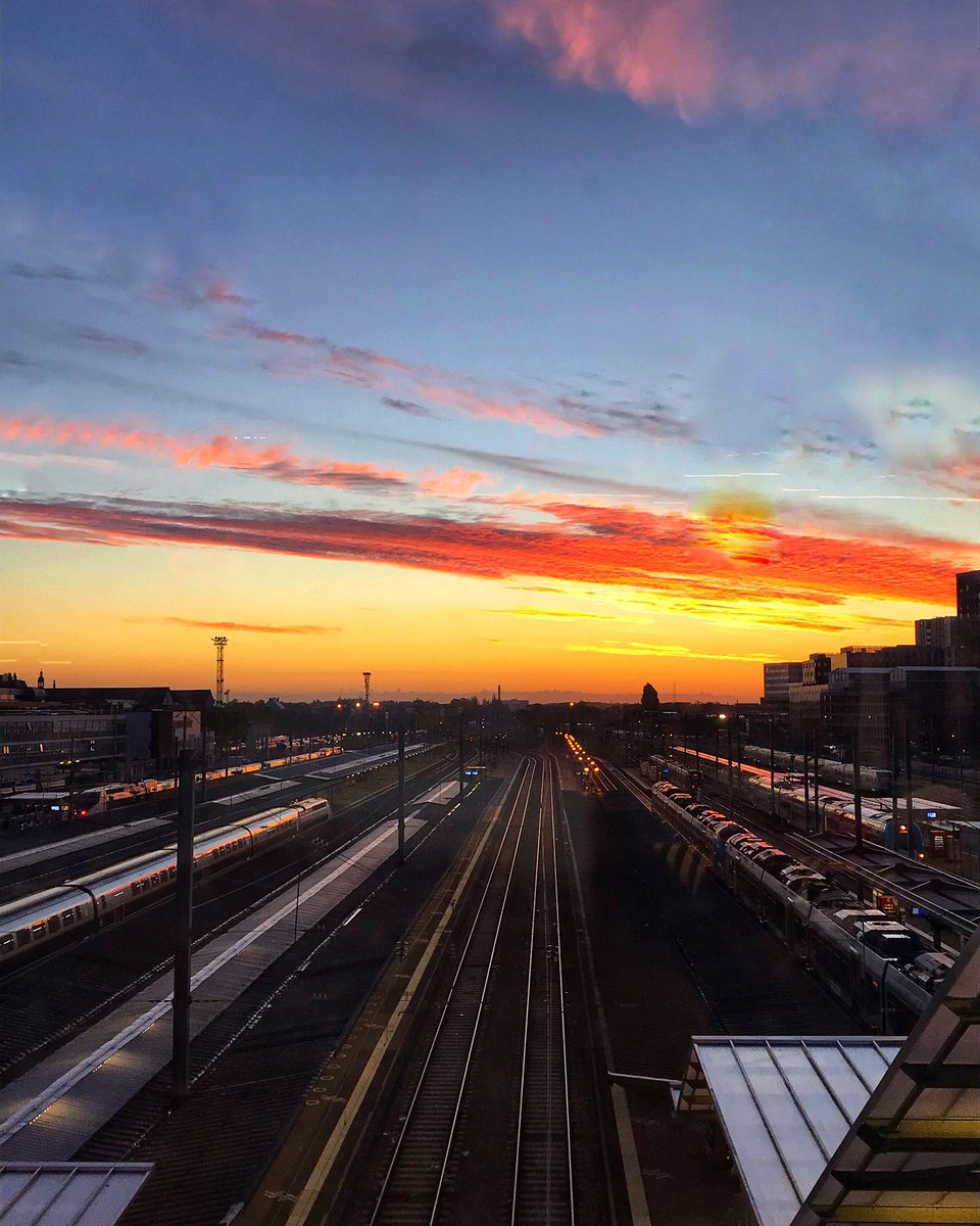 fannybernaz's tweet photo. ☀️☀️ #morning #nantes #beautifulview https://t.co/nl8xwEjS6B