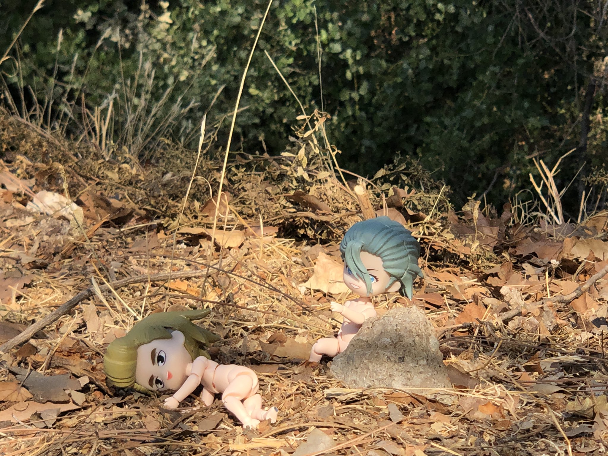 39郎 東４カ30a Al Twitter Rt Stxnusatravel ピナクルズ国定公園 T Co Dk3g4lpn0e Twitter