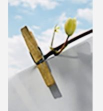 chatocm11 tweet media