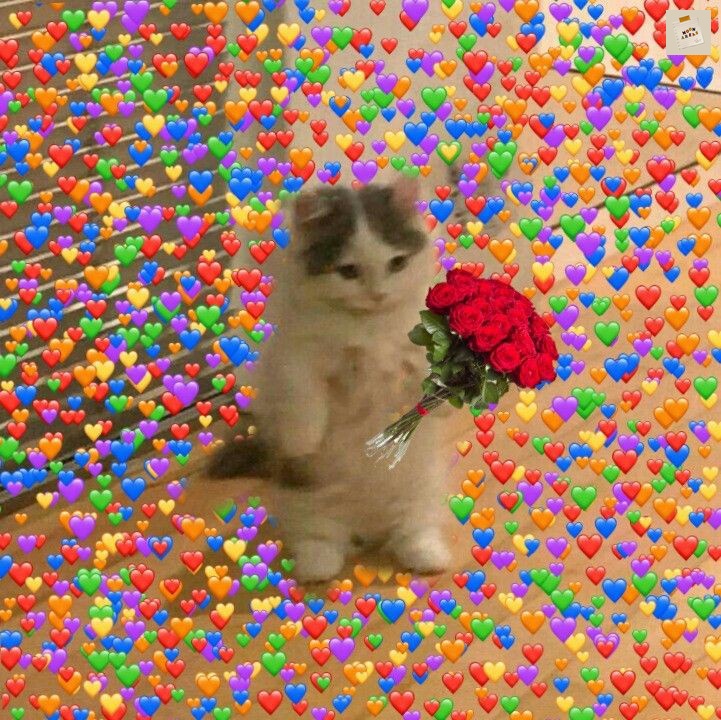 ☁️ @ 10JARGV lope banyak banyak buat kakak, thalangee😾💗