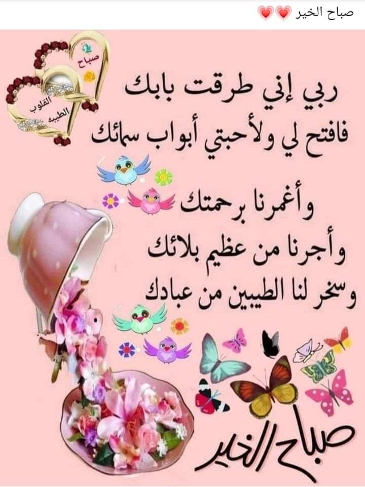 Mahmudjinan1's tweet photo. @asra98__ https://t.co/jpXcQ4gYho
