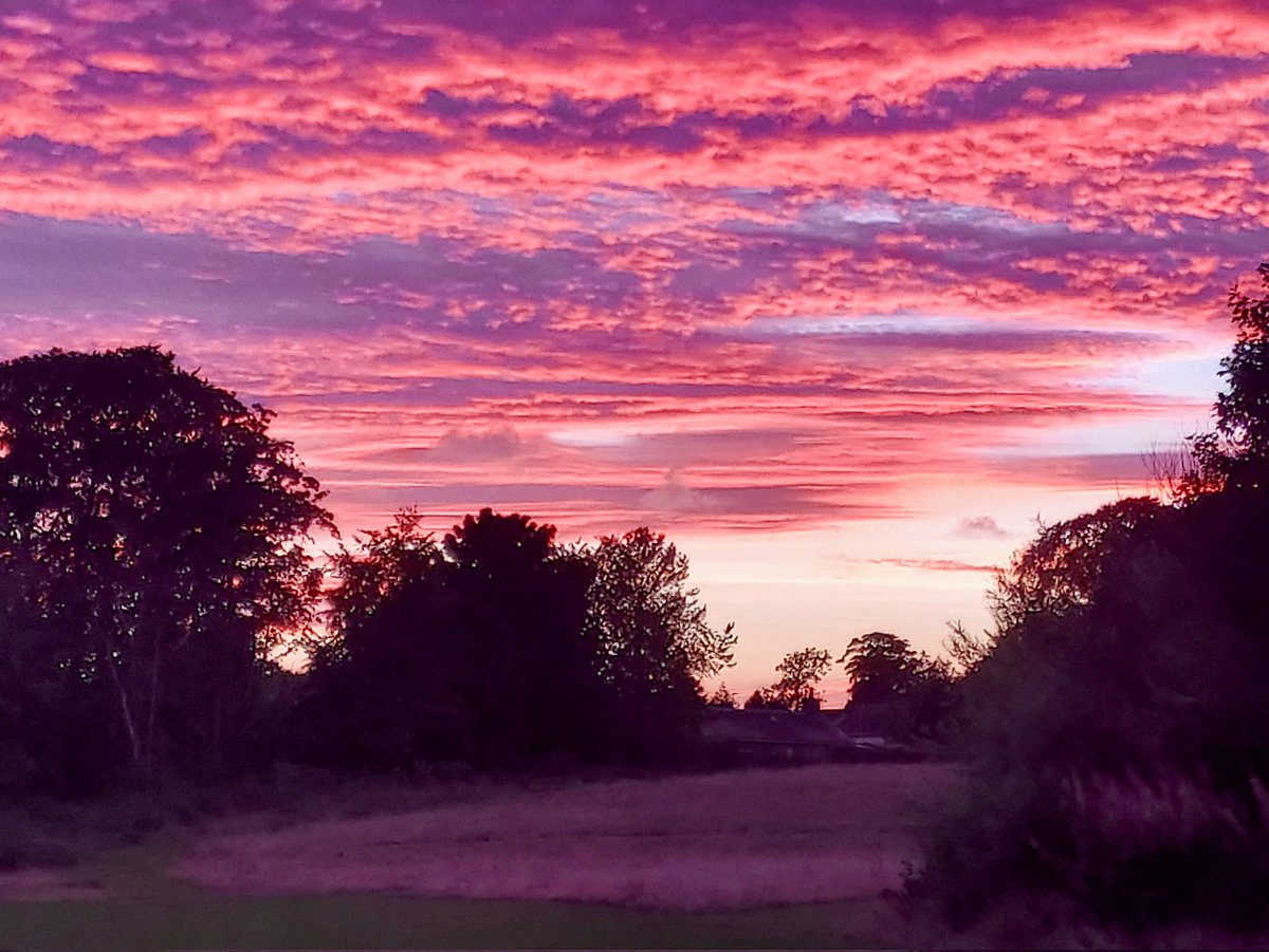 Good morning chums..🐶..
What a stunning sky we had on our walk last night..👍.. #DogsofTwittter #DogsAreFamily #dalmatian ❤️