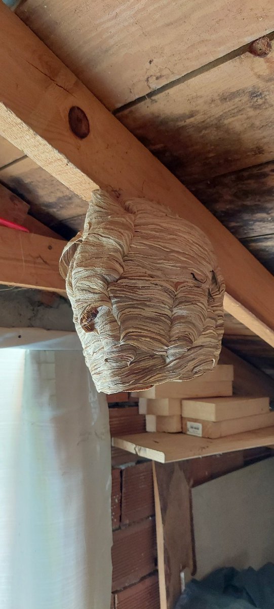 Nasıl kurtulurum 😀