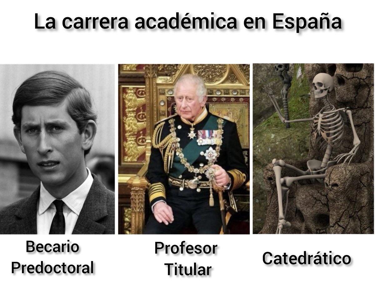 Estado de la cuestión.