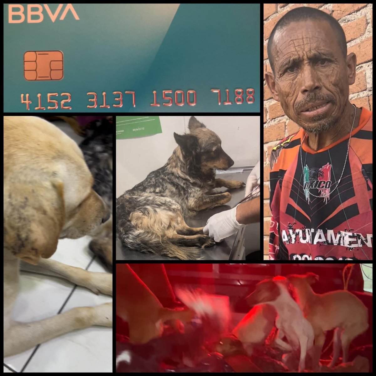 Bf1319's tweet photo. No quería publicar nada de esto porque es un tema difícil que me afecta mucho debido al amor que tengo por los perritos, pero el es Alberto Villalba Rivas “Tuco” quien ha sido acusado por zoófila pero lo van a dejar libre y la gente protesta, al menos que se conozca su cara‼️ https://t.co/CIIXOiEbqh