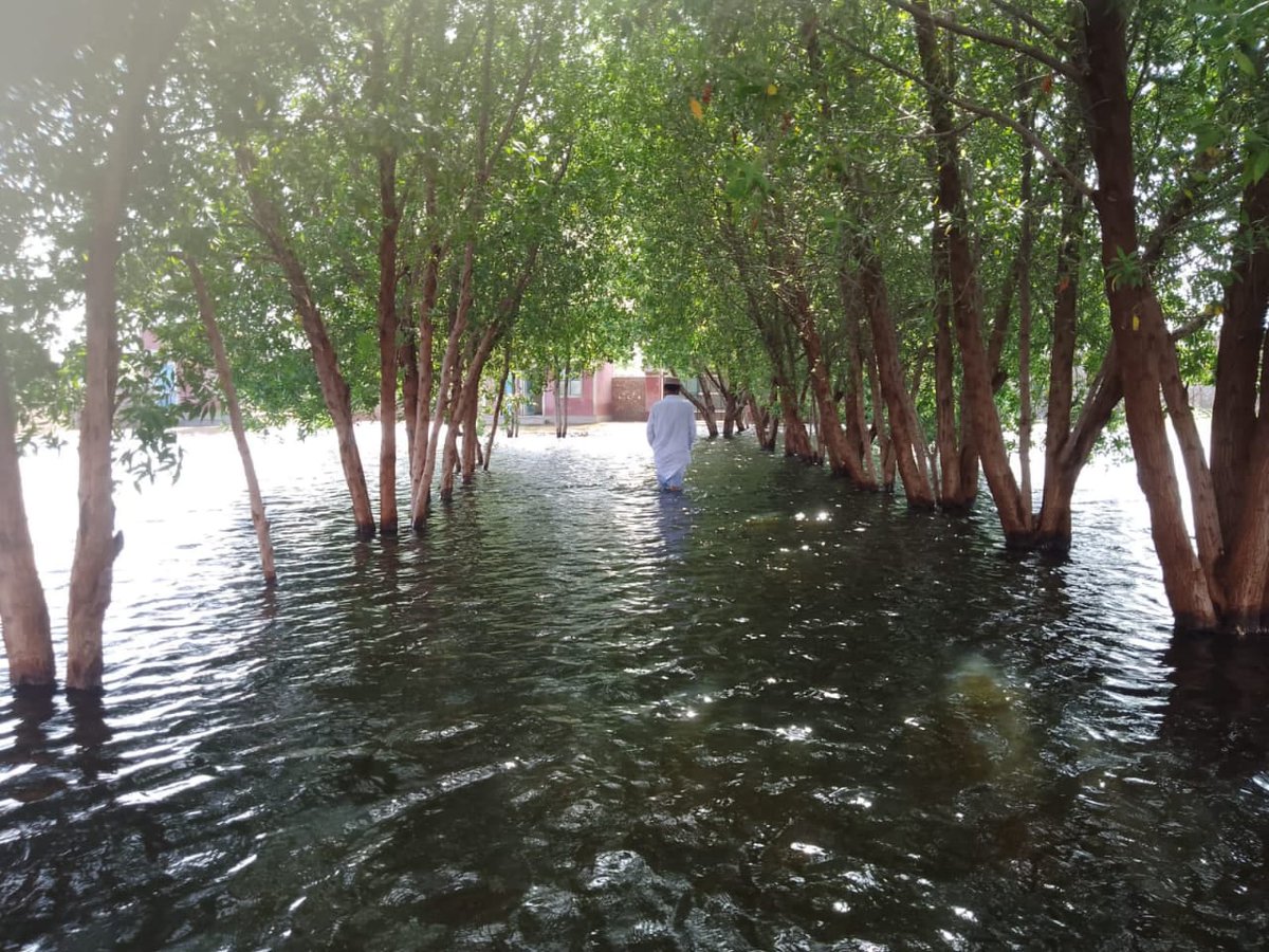 TCFPak's tweet photo. Dassori, a small village in Tando Allah Yar, has been hit hard by the floods. Most of the affected homes are situated in low-lying areas of the village with a TCF campus nearby. Our team travelled there and delivered meals to the locals.

Please donate to: https://t.co/POKRP7364n https://t.co/kVd1xtdOph