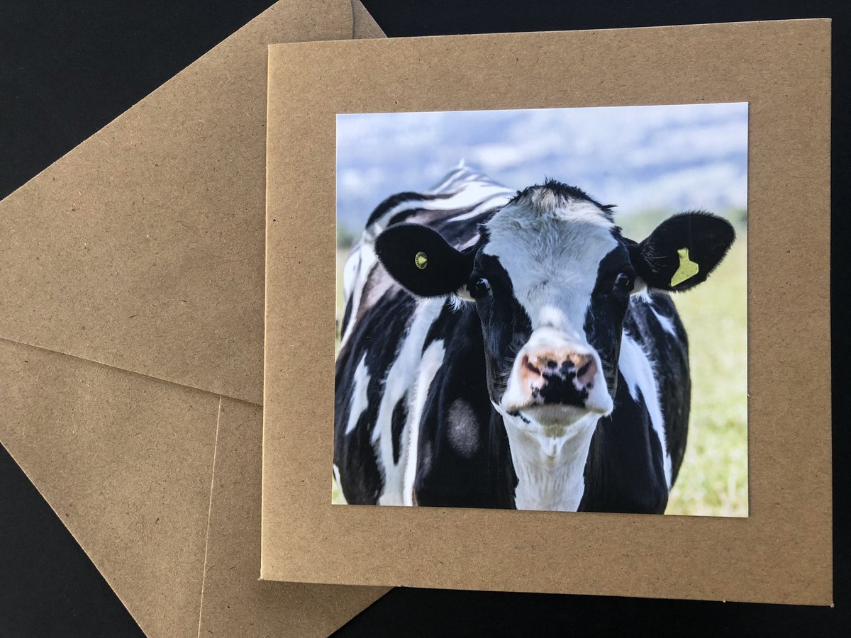 RValleyCards's tweet photo. Looking forward to being part of the #HodderValleyShow today. #dunsopbridge #forestofbowland #painting #photography https://t.co/tFgMEm0aLb