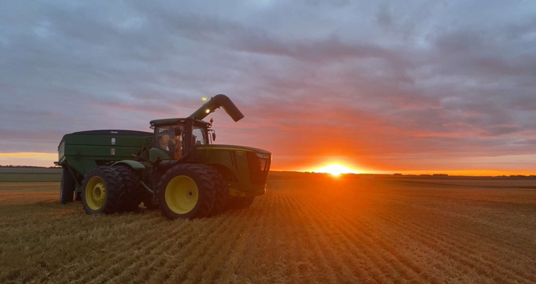 Very impressed once again with AAC Starbuck VB wheat! Easy threshing exceptional yields. <a href="/SeCanLauren/">Lauren Wensley🌾</a> <a href="/SeCan/">SeCan</a> @SecanMira