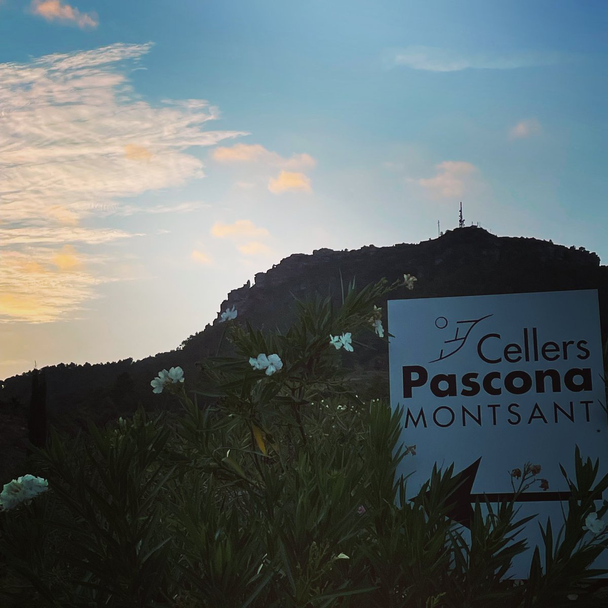 Celler Pascona 🍇🍷 (@pasconamontsant) on Twitter photo Molt bon dia família! Vinga amunt que ja es visabte! Al celler Pascoka continuem la nostra verema!!
.
<a href="/domontsant/">domontsant</a>
.
#bondia #visabte #cellerpascona #domontsant #verema2022 #sira #vesaperelsteusomnis #mesde30anyspasconitzant #salutivi💪🍷 Molt bon dia família! Vinga amunt que ja es visabte! Al celler Pascoka continuem la nostra verema!!
.
<a href="/domontsant/">domontsant</a>
.
#bondia #visabte #cellerpascona #domontsant #verema2022 #sira #vesaperelsteusomnis #mesde30anyspasconitzant #salutivi💪🍷