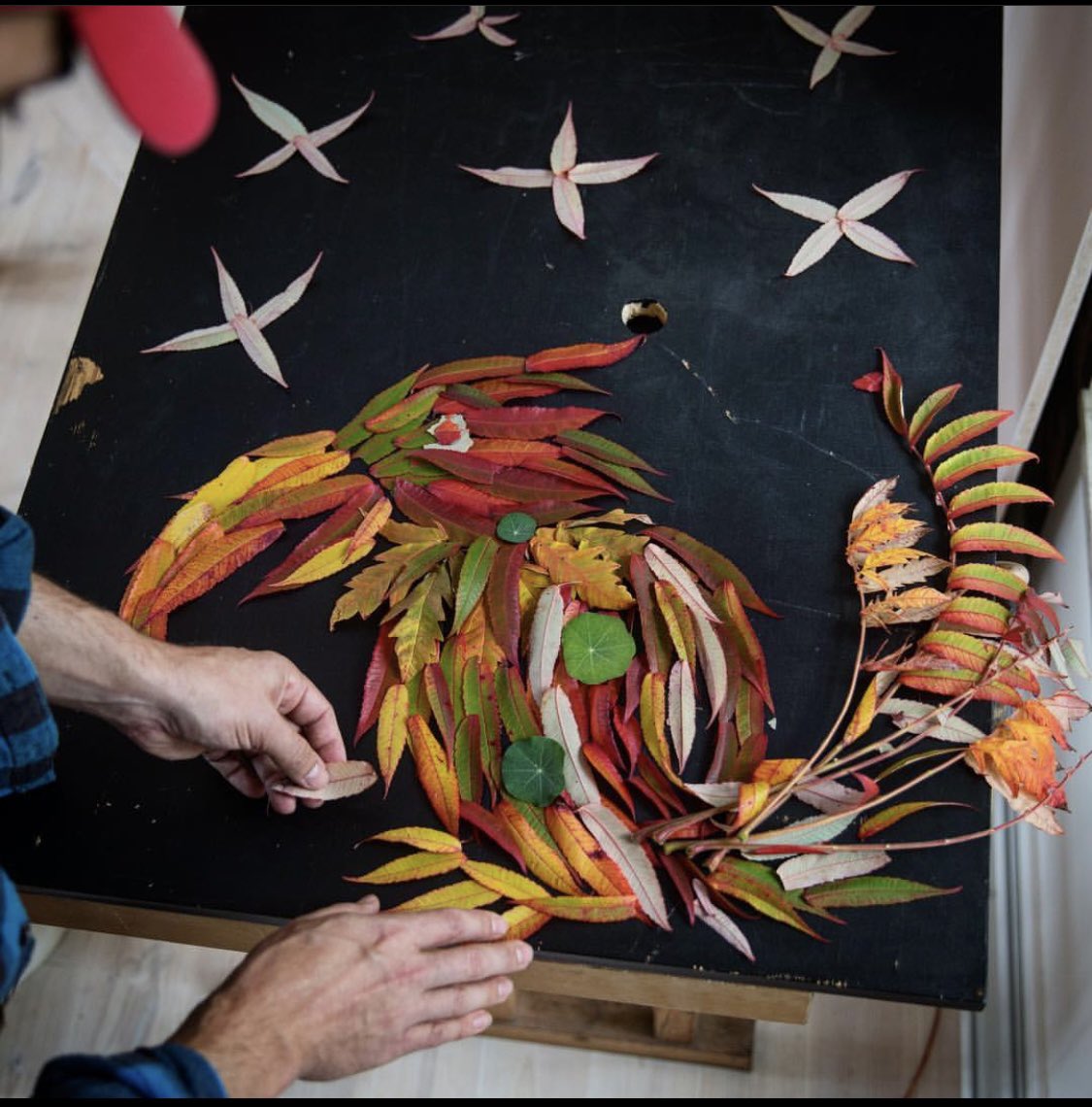 tweet, tweet 🪶🍂🪶🍁