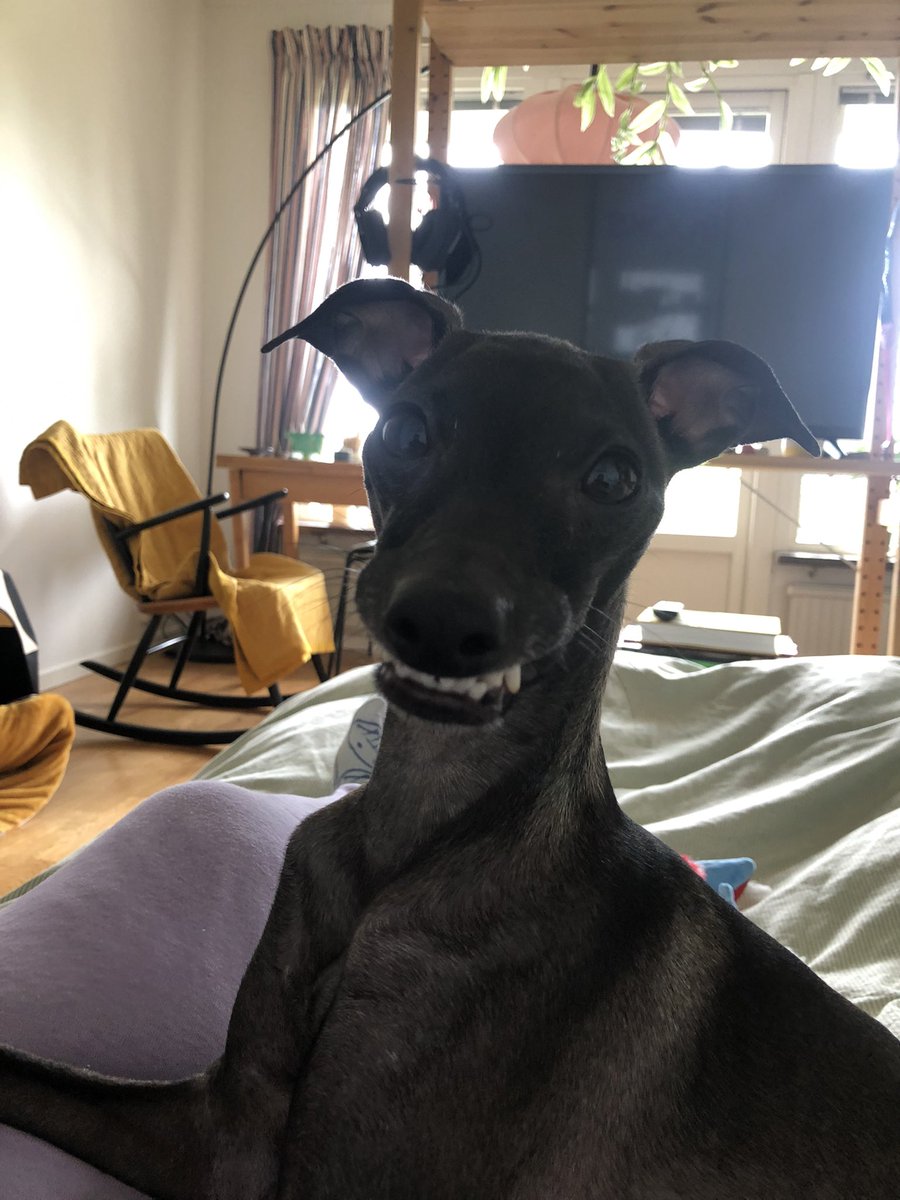 Dr Cathryn Klasto 句_句 tweet media