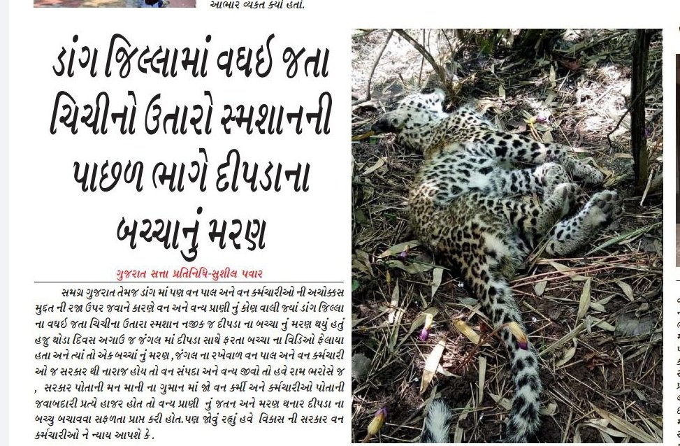 આટલું મોટું નુક્સાન થય રહ્યું છે પરંતુ સરકાર ના પેટ પાણી નથી હલતું.. અમને પણ જોયું નથી જાતું કે પર્યાવરણ ને નુકશાન થાય.. સરકાર અમારી માંગો જલદી પુરી કરે..
#2800gredpaybitguard 
#4200gredpayForestar
#rajapagar 
<a href="/tv9gujarati/">Tv9 Gujarati</a> 
<a href="/abpasmitatv/">ABP Asmita</a> 
<a href="/VtvGujarati/">VTV Gujarati News and Beyond</a> 
<a href="/CMOGuj/">CMO Gujarat</a> 
<a href="/narendramodi/">Narendra Modi</a>