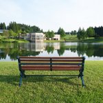 ツイートに含まれる画像