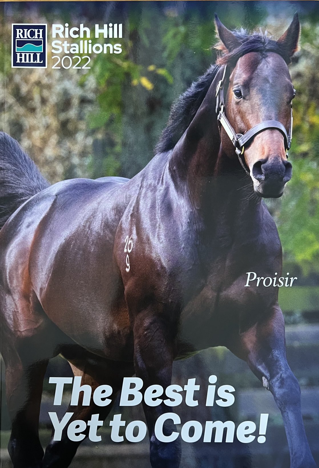 Stallion Register: Ultimate Stallion Directory
