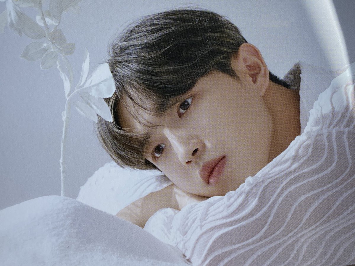 mustbedream's tweet photo. 하.. 그때 그 얼루어 같은 이거 뭐냐 https://t.co/ikEbuwzHTN