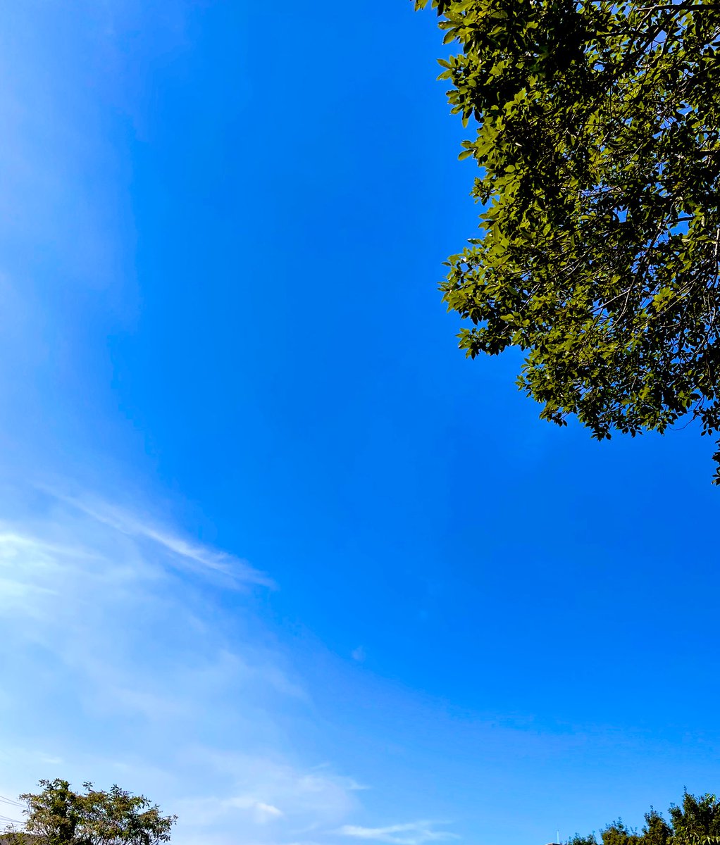 obs_ma's tweet photo. すっかり青空が秋色ですね🍁
春と秋と言えば。
ラジオとテレビは改編も。
色んな出会いがありますように🙏

今日はきりまるちゃんを見に行きたい！
トーク楽しみ🥺⚽️✨

#秋の気配 
#秋の改編 https://t.co/bzvN1Xmq7L