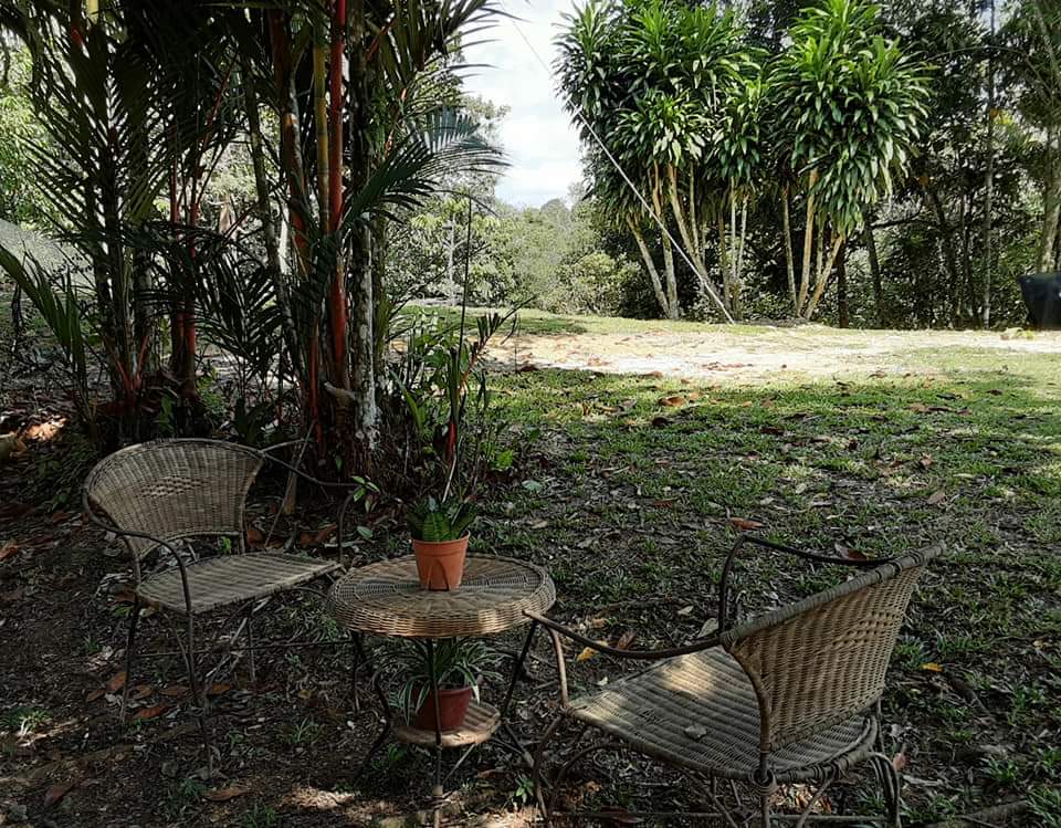 peterderun's tweet photo. An escapade for city-dwellers who crave to go back to nature.
An apt description for my home near Serian. https://t.co/JVYY9iyyeX