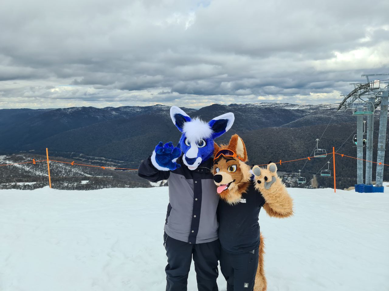 Nomad 🇦🇺 on Twitter "Amazing views from the top of Thredbo with