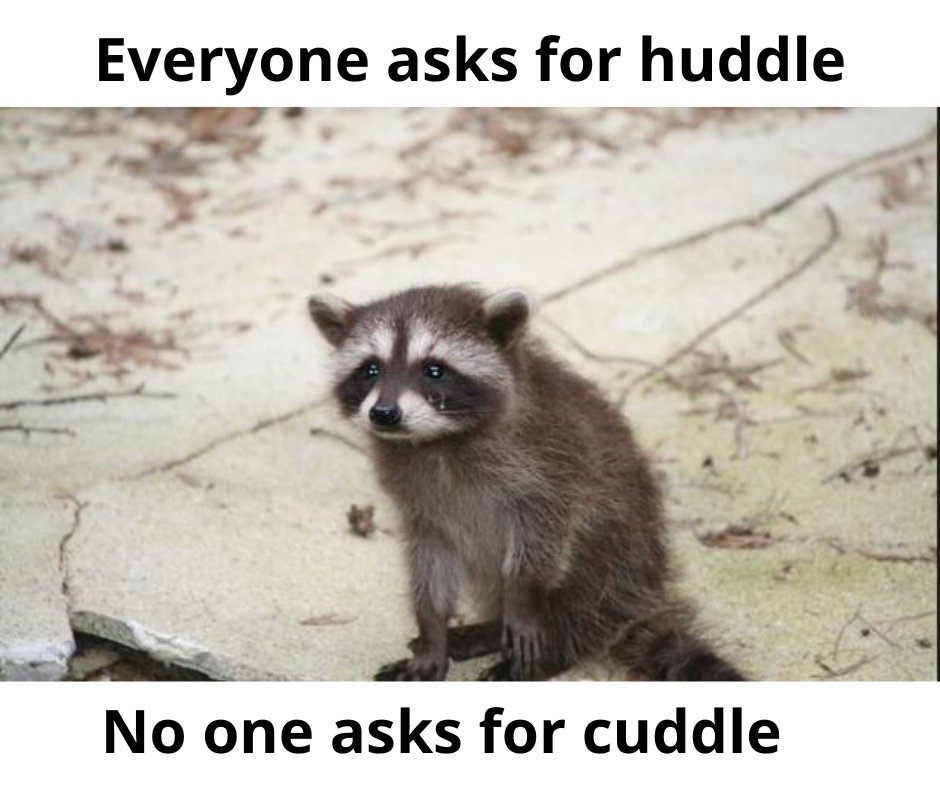 huddle-memes