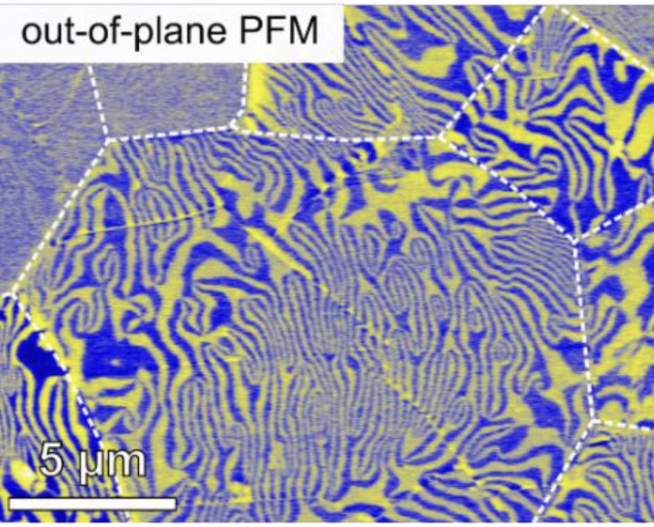 DennisGMeier's tweet photo. Yeeaahh 🎉🍾🎉 - big congratulations to Jan for his beautiful work on „Confinement‐driven inverse domain scaling in polycrystalline ErMnO3“. Check out how universal domain scaling laws can be tricked🤓; now in Advanced Materials: https://t.co/c4MVftxVmq @NTNUNaturalSci @NtnuNano https://t.co/pMV39djdVy