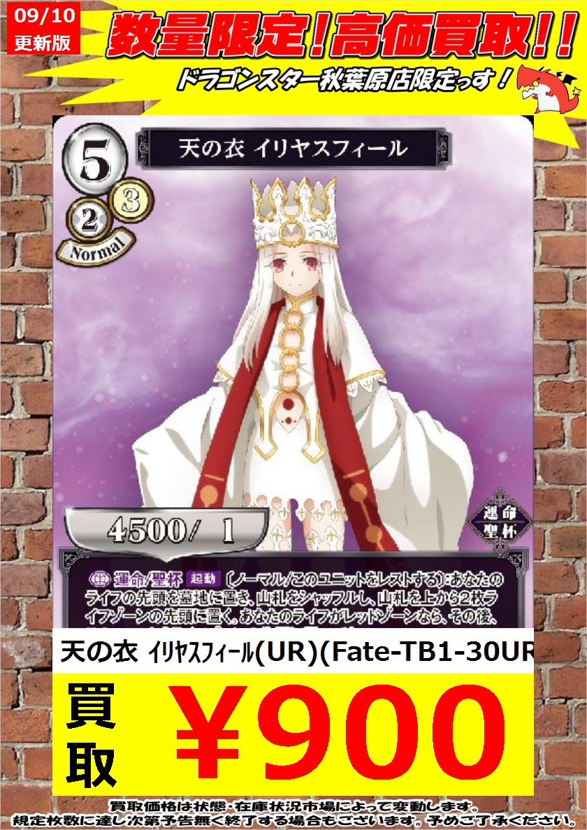 石川県 天の衣 イリヤスフィール Sc ビルディバイド Fate その他