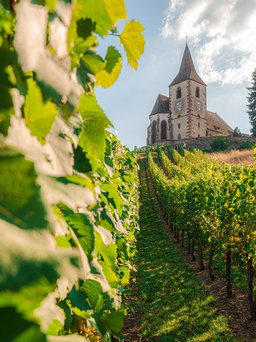 CedricSchell's tweet photo. Hunawihr, Alsace. https://t.co/bP0vC3oQ68
