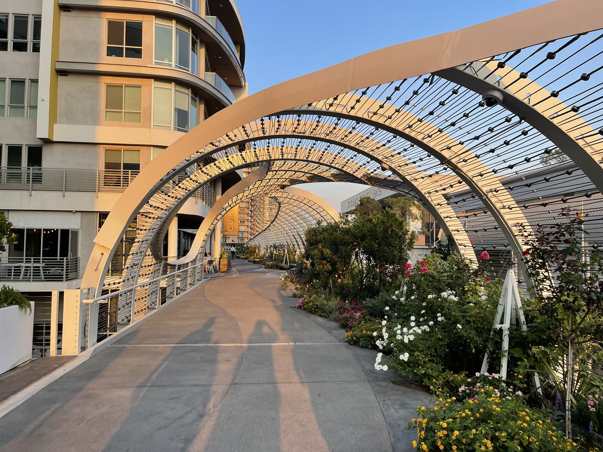 Matt Bronson tweet media