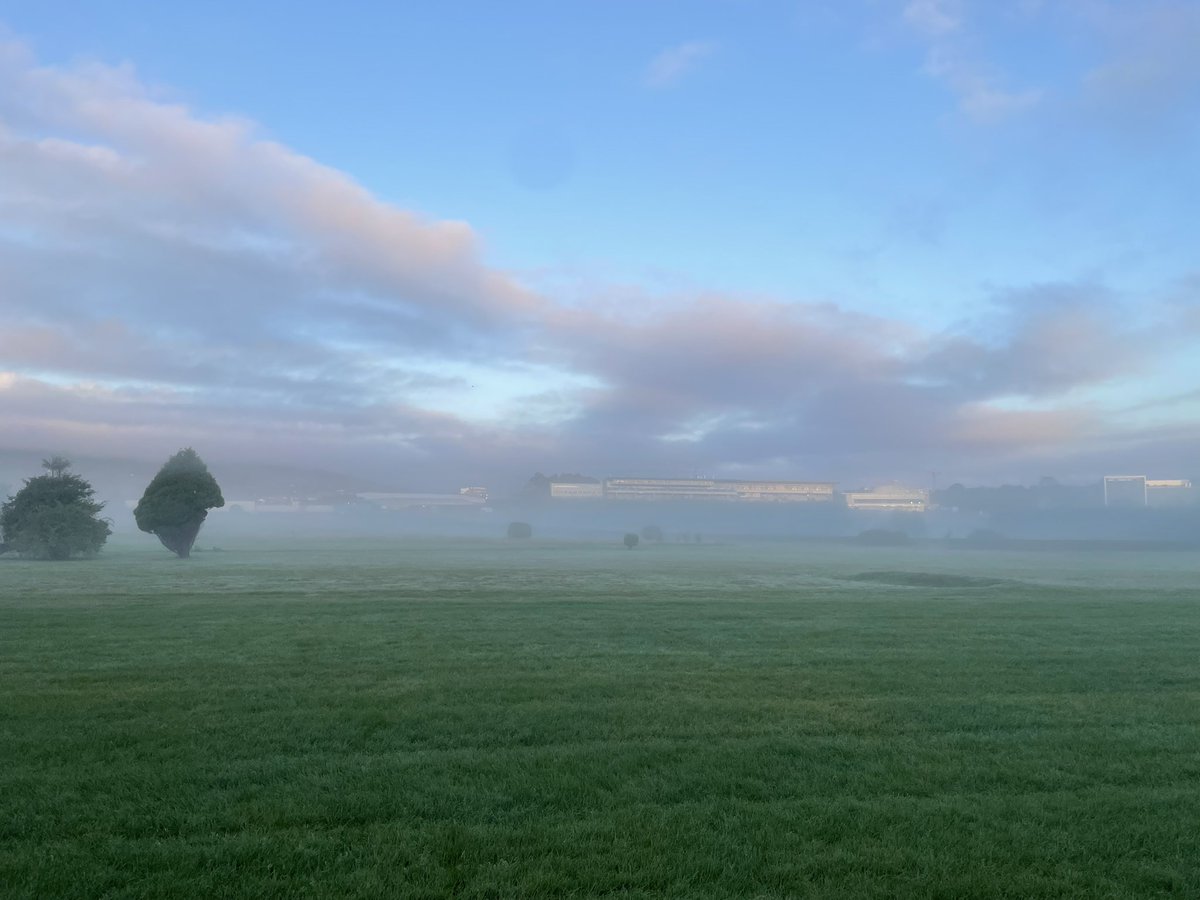The sun (at last) rises on Leopardstown Racecourse for Day One of the Longines Irish Champions Weekend - let the races commence !