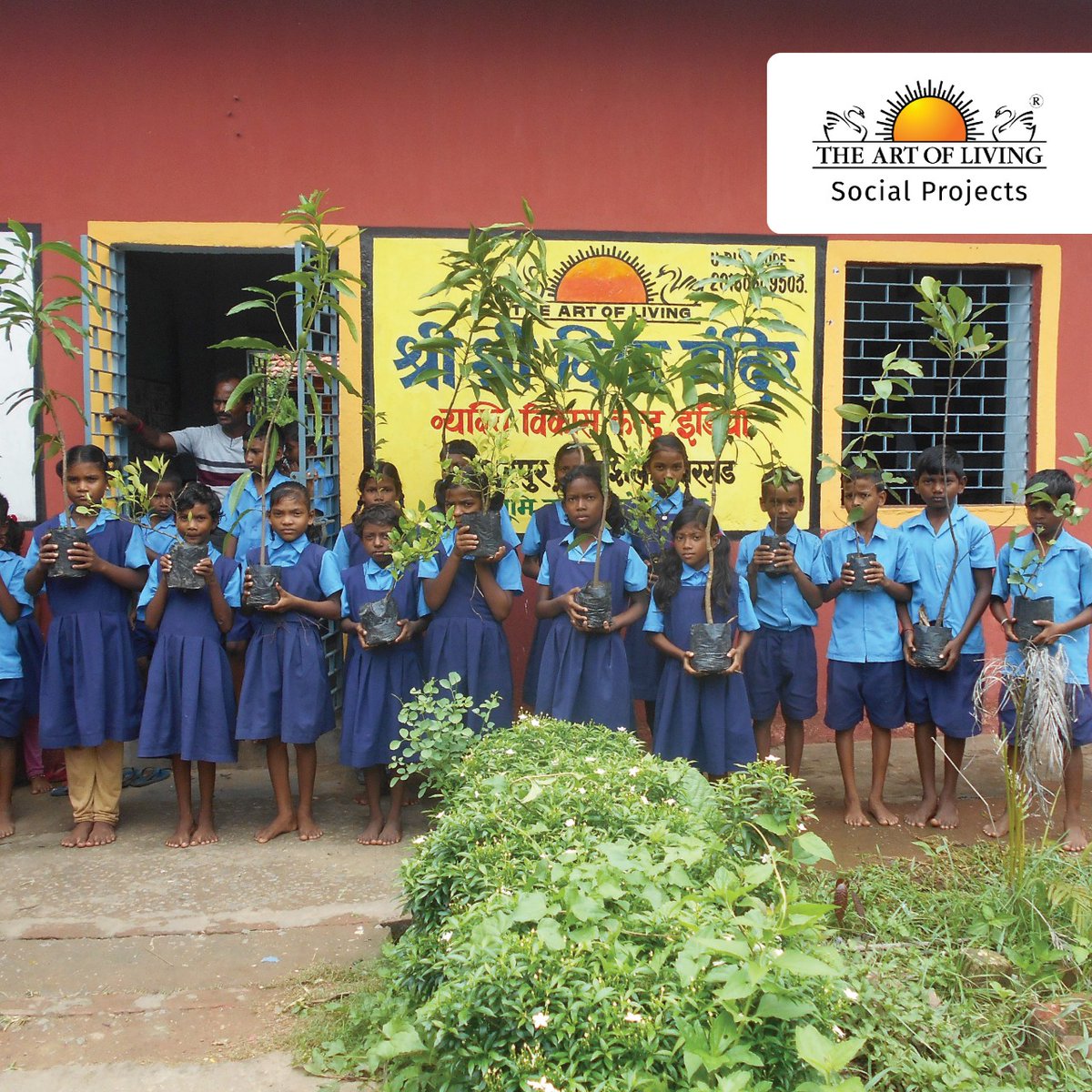 AOLProjectsMAH's tweet photo. Students of The Art of Living #FreeTribalSchools have planted 930 fruit-bearing trees. A 12-month monitoring system has been set up with the assistance of local teachers. #Children are excited to take care of these plants. 
Know more: https://t.co/UbAeAHtrdD 
#TreePlantation https://t.co/usybkDSAke