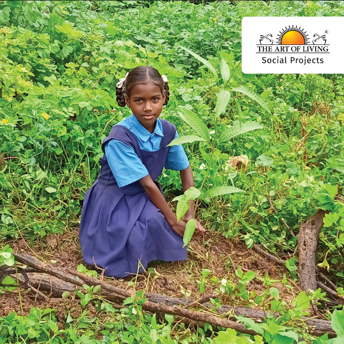 AOLProjectsMAH's tweet photo. Students of The Art of Living #FreeTribalSchools have planted 930 fruit-bearing trees. A 12-month monitoring system has been set up with the assistance of local teachers. #Children are excited to take care of these plants. 
Know more: https://t.co/UbAeAHtrdD 
#TreePlantation https://t.co/usybkDSAke