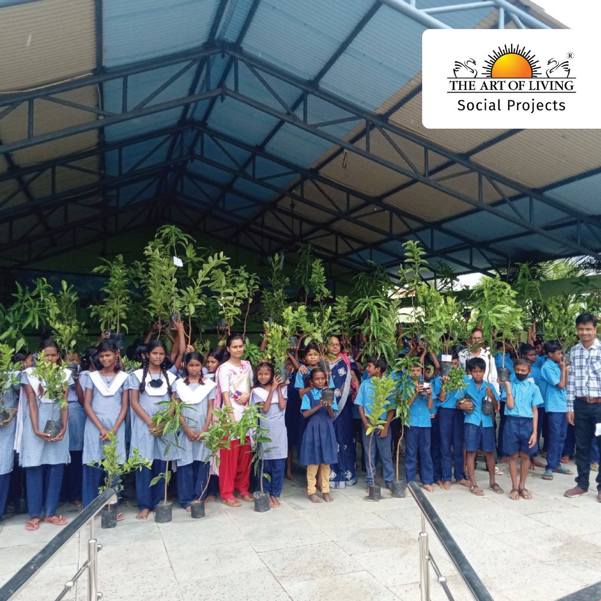 AOLProjectsMAH's tweet photo. Students of The Art of Living #FreeTribalSchools have planted 930 fruit-bearing trees. A 12-month monitoring system has been set up with the assistance of local teachers. #Children are excited to take care of these plants. 
Know more: https://t.co/UbAeAHtrdD 
#TreePlantation https://t.co/usybkDSAke