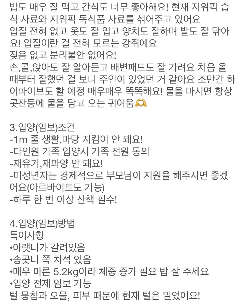sirootv's tweet photo. 사람 좋아 강쥐 좋아 시루 가족 찾아요🐶
-파보,홍역,사상충,코로나 음성
-장염 완치 후 접종 예정
시루의 자세한 정보는 아래 사진을 참고해주세요🫶
#강아지 #강아지입양 #강아지임보 #입양해주세요 #사지말고입양하세요 #유기견 #유기견입양 #임시보호 #믹스견 #시고르자브종 #입양홍보 #RT https://t.co/Gndp0QCKyr