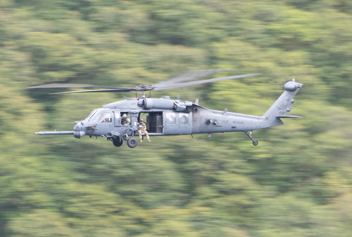 smudgesmat's tweet photo. Pavehawk Thirlmere https://t.co/YITKkSLIa0