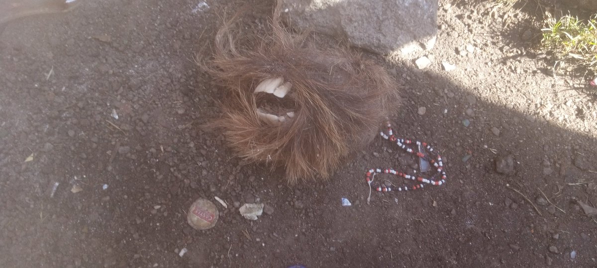 A lady driving a Toyota Fortuner dropped this item outside FantasyLand which is opposite Eastgate Mall.
She sped off after dumping it.
<a href="/freemanchari/">Freeman</a> <a href="/Mavhure/">Rufaz--Jerera❤King❤</a> <a href="/KingJayZim/">King Jay🇿🇼</a>