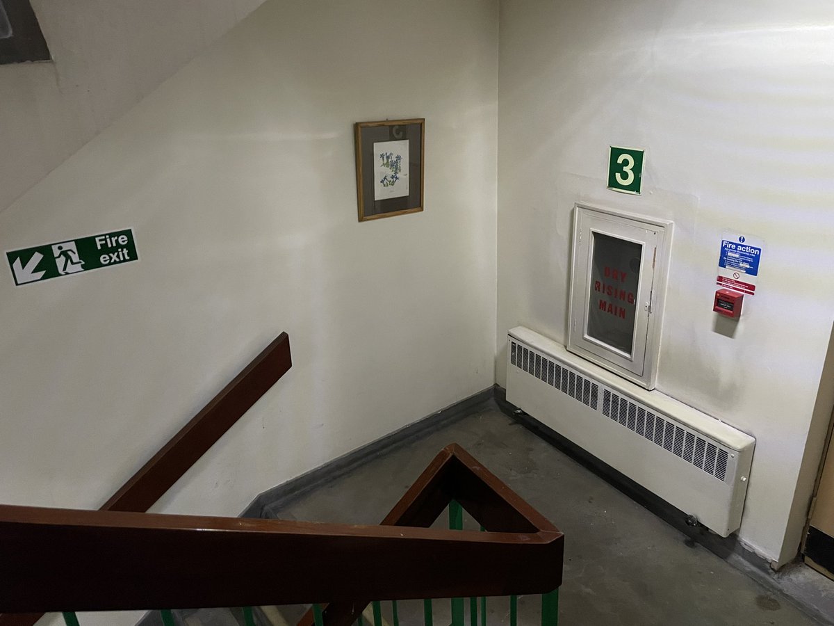 Alan_Measles's tweet photo. You know those flower paintings really brighten up that stairway https://t.co/5T4zWBFuOk