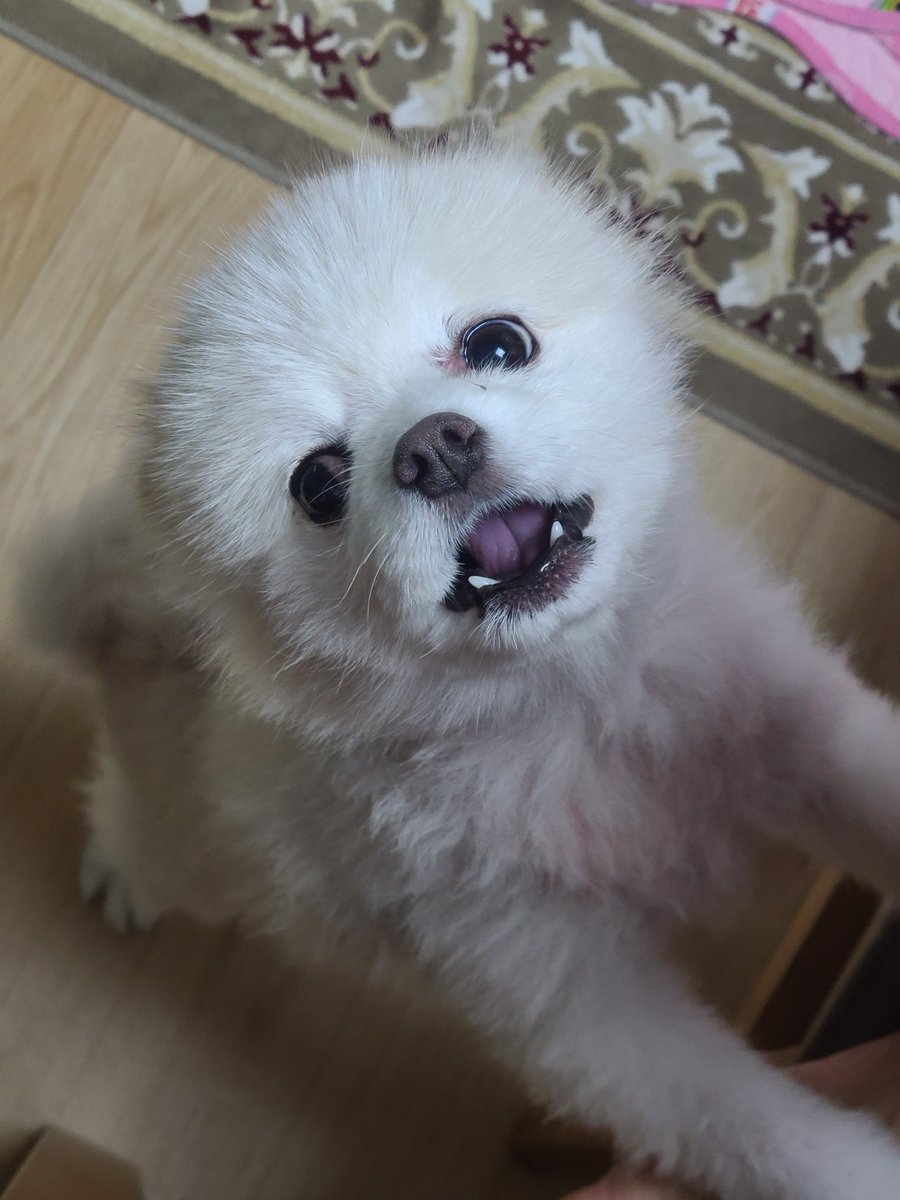 bean_archive's tweet photo. 여전하도다 https://t.co/z96nc1L9K6