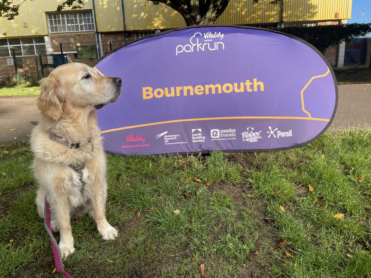 RunningDanUK's tweet photo. Bournemouth parkrun #parkrun #parkrundogs #barkrun https://t.co/Z5UYolSzUc