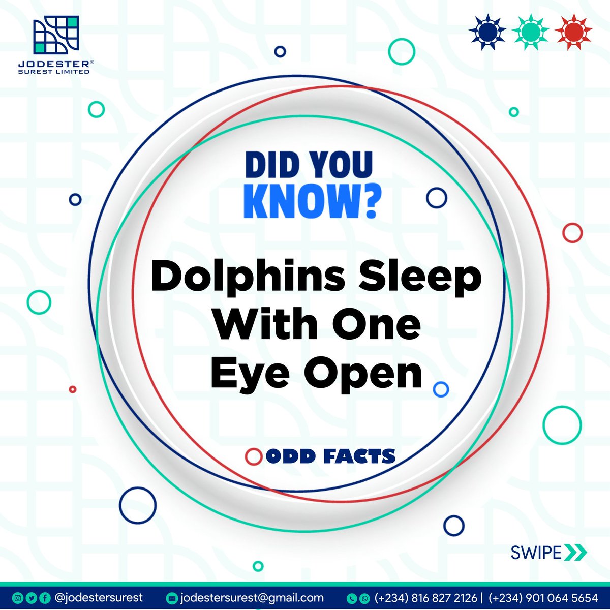 jodestersurest's tweet photo. Odd Facts
Dolphins sleep with one eye open
#oddfacts #joedester #jodester #explore #graphicsdesign #designer #dataanalyst #freelancing #digitalmarketing #business #growth #dolphin #factsdaily #factsonly #facts https://t.co/GBfc0PUEyu