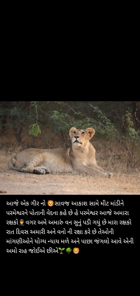 #van_raxak-2800 grade pay
#vanpal-4200 grade pay
@avni1404 <a href="/kaalodipdo/">Black panther</a> <a href="/BadalBhuria/">Badal Bhuria</a> <a href="/minalba_gohil/">Minalba Gohil 🙏🏻 (Lucky Foundation Rajkot)</a> <a href="/rileshchandra/">Rileshchandra L Pandit</a> <a href="/AAPGujarat/">AAP Gujarat</a> <a href="/ZeeNews/">Zee News</a> <a href="/CMOGuj/">CMO Gujarat</a> <a href="/sanghaviharsh/">Harsh Sanghavi</a> <a href="/AmitShah/">Amit Shah</a> <a href="/PMOIndia/">PMO India</a> @charming__ab <a href="/BaraiyaAshvin20/">Baraiya Ashvin</a> <a href="/Pravinsinh4111/">Pravinsinh Chauhan</a> <a href="/KiritsinhJRana/">Kiritsinh Jitubha Rana (MODI KA PARIVAR)</a> <a href="/Hello_MOFE/">Ministry of Forests and Environment</a> <a href="/WJCommission/">Wildlife Justice Commission</a>