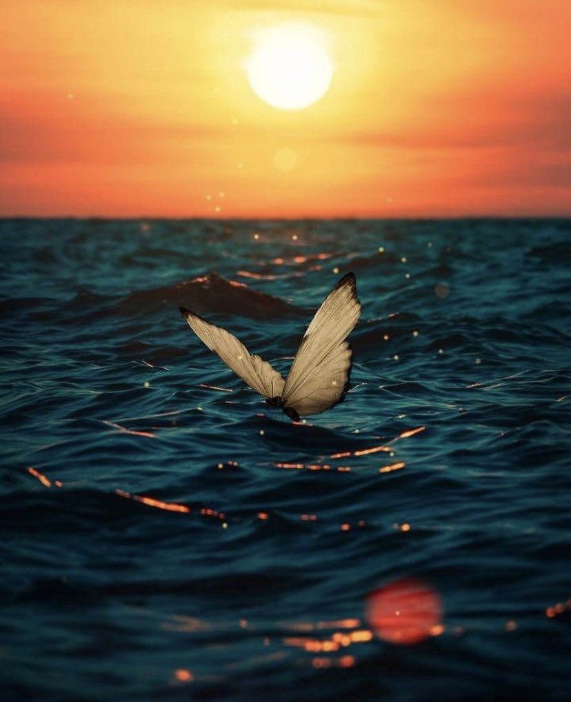 Gökyüzüne bak ve hisset 🤍