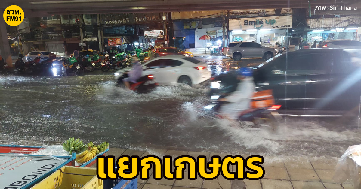 fm91trafficpro's tweet photo. น้ำท่วมขึ้นฟุตปาธมาแล้ว!

19.19น. ถ.พหลโยธิน ขาออก ก่อนถึงแยกเกษตร หลังจากฝนตกหนัก น้ำท่วมขัง #รายงานจราจร #น้ำท่วม #FM91 https://t.co/KlrR8AwSR3